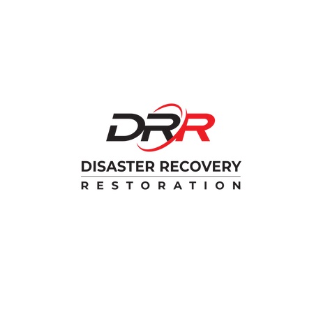 Image for Disaster Recovery Restoration with ID of: 5777159