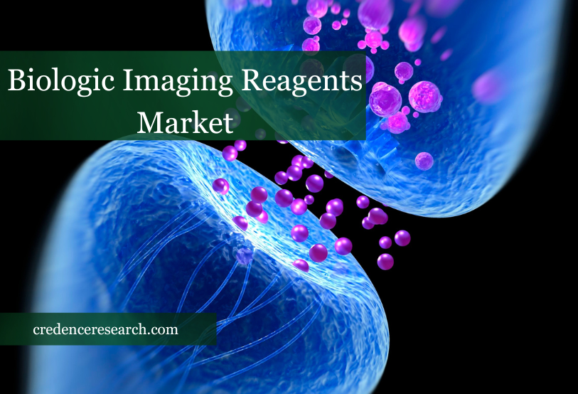 Image for Biologic Imaging Reagents Market Is Expected To Generate A Revenue Of USD 29.59 Billion By 2030 with ID of: 5778204