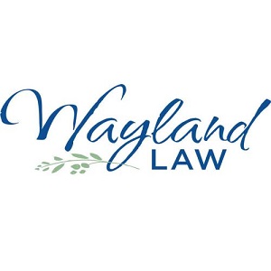 Image for Wayland Law PC with ID of: 5780730