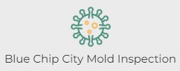 Image for Blue Chip City Mold Inspection with ID of: 5780903