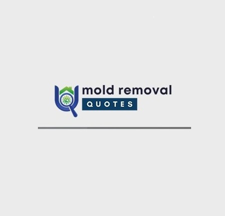 Image for Maury County Mold Removal with ID of: 5781692