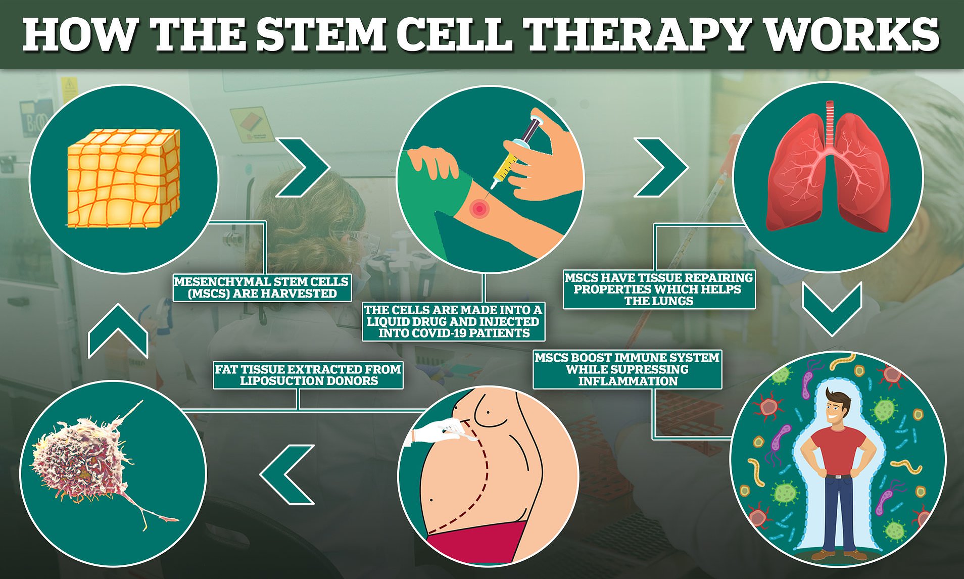 Image for Stem Cell Therapy Market: Opportunities and Challenges in the Horizon for 2028 - TechSci Research with ID of: 5782951