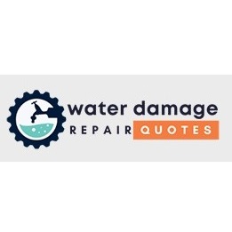 Image for Chesterfield Pro Remediation with ID of: 5784009