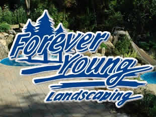 Image for Forever Young Tree Service with ID of: 5784290