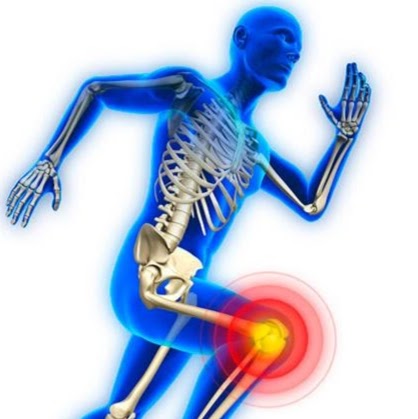 Image for Body Active Physio with ID of: 5786219