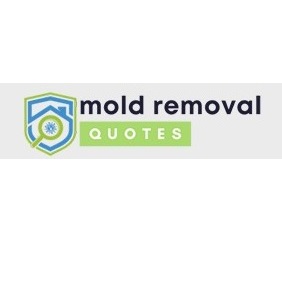 Image for Dauphin County Mold Removal with ID of: 5786706