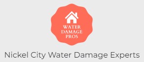 Image for Nickel City Water Damage Experts with ID of: 5788317
