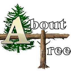 Image for About Trees with ID of: 5789204