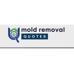 Image for Mojave Top Notch Mold Removal with ID of: 5789324