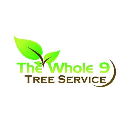 Image for The Whole 9 Tree Service with ID of: 5796359
