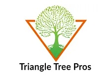 Image for Triangle Tree Pros with ID of: 5796683