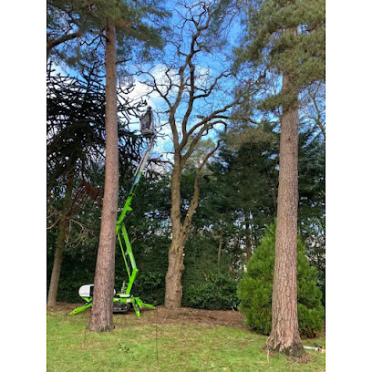 Image for The Tree Fellowes with ID of: 5797488