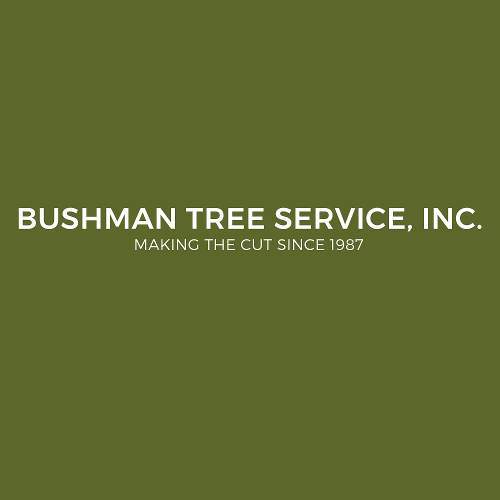 Image for Bushman Tree Service with ID of: 5798365
