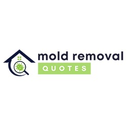 Image for Sandy Mold Removal Team with ID of: 5798764