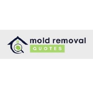 Image for Tulare County Mold Removal with ID of: 5799042