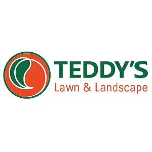 Image for Teddy's Lawn & Landscape with ID of: 5799089