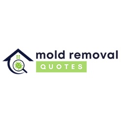 Image for Temple Mold Removal Pro with ID of: 5799567