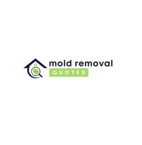 Image for Montgomery County Mold Removal Solutions with ID of: 5800903