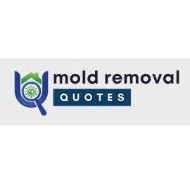 Image for Sumter County Mold Removal with ID of: 5804131