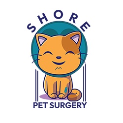 Image for Shore Pet Surgery with ID of: 5805168
