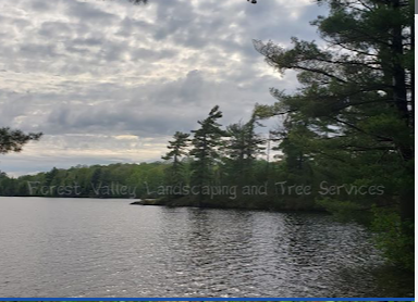 Image for Forest Valley Landscaping and Tree Service with ID of: 5815088