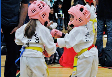 Image for Woodbridge Taekwon-Do Inc. with ID of: 5817868