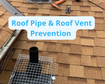 Image for GottaGo Pest Control with ID of: 5818599