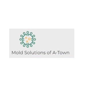 Image for Mold Solutions of A-Town with ID of: 5819391