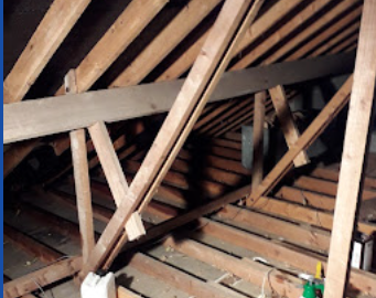 Image for Galway Pest Services (GPS) with ID of: 5823019