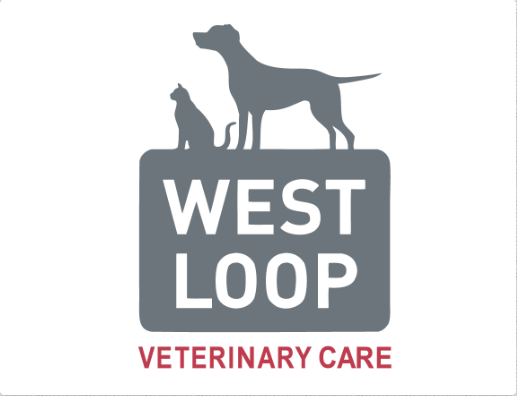 Image for West Loop Veterinary Care with ID of: 5823292