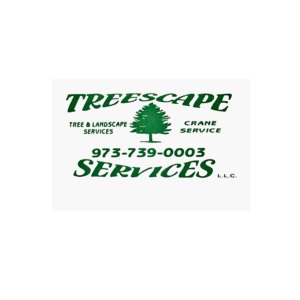 Image for tree care services morris county nj with ID of: 5823834
