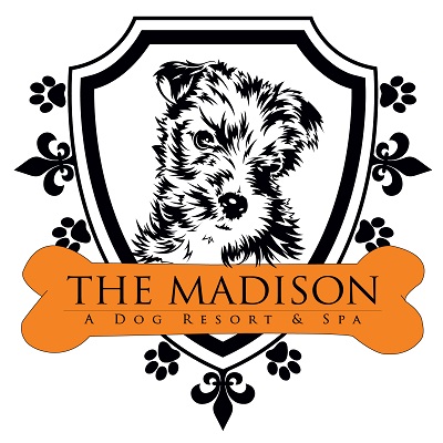 Image for The Madison Dog Resort & Spa with ID of: 5830360