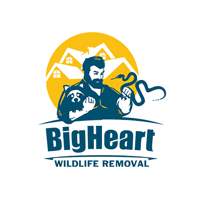 Image for BigHeart Wildlife Removal with ID of: 5832930