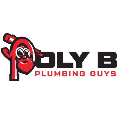 Image for The Poly B Plumbing Guys with ID of: 5834720