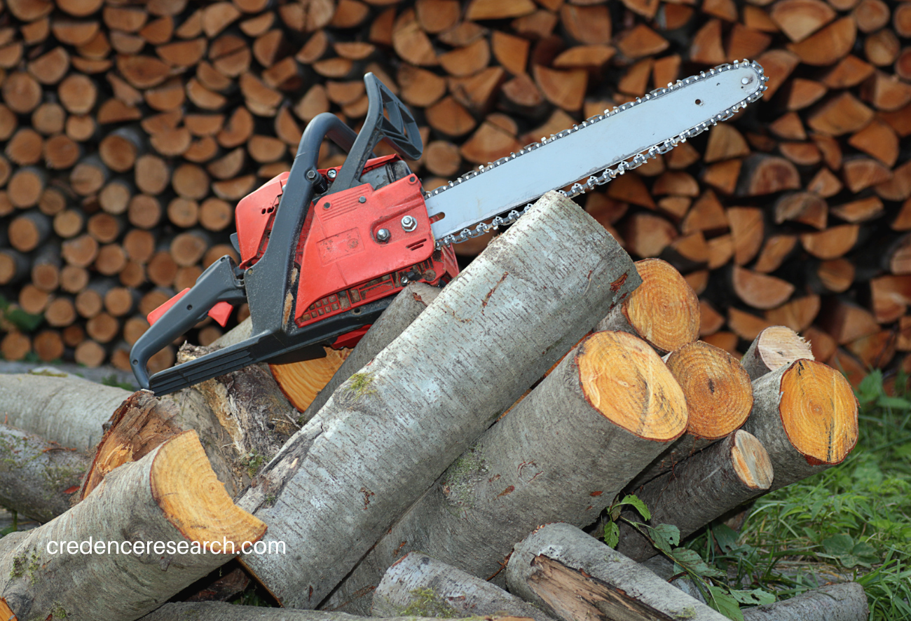 Image for Forestry Power Tool Accessories Market Size Worth USD 1033.34 million, Globally, By 2030 At 5.1% CAGR. with ID of: 5836250
