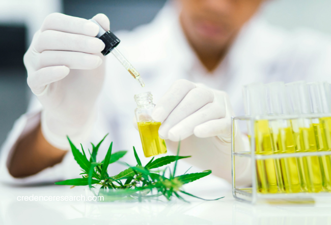 Image for Cannabis Testing Services Market Size Expected To Acquire USD 3248.2 million By 2030 At CAGR of 13.80% with ID of: 5836364