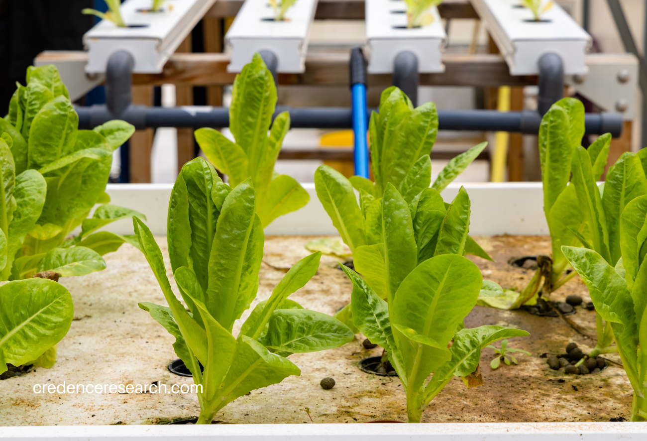 Image for Smart Irrigation Systems Market Size, Analyzing Growth and Forecasting Outlook from 2023-2030 with ID of: 5836366