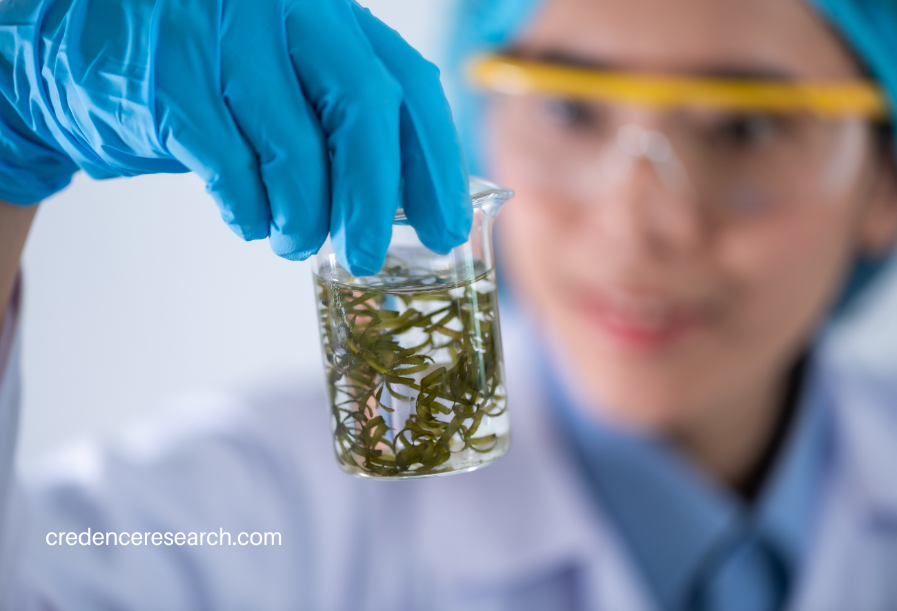 Image for Microalgae Fertilizers Market Size Expected To Acquire USD 22.28 million By 2030 At 9.75% Compound Annual Growth Rate with ID of: 5837768
