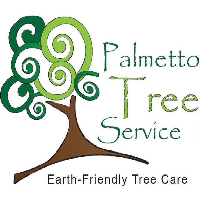 Image for Palmetto Tree Service with ID of: 5842505