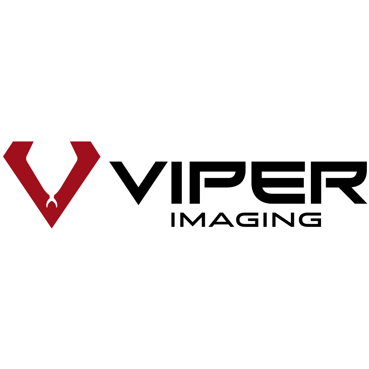 Image for Viper Imaging with ID of: 5842879
