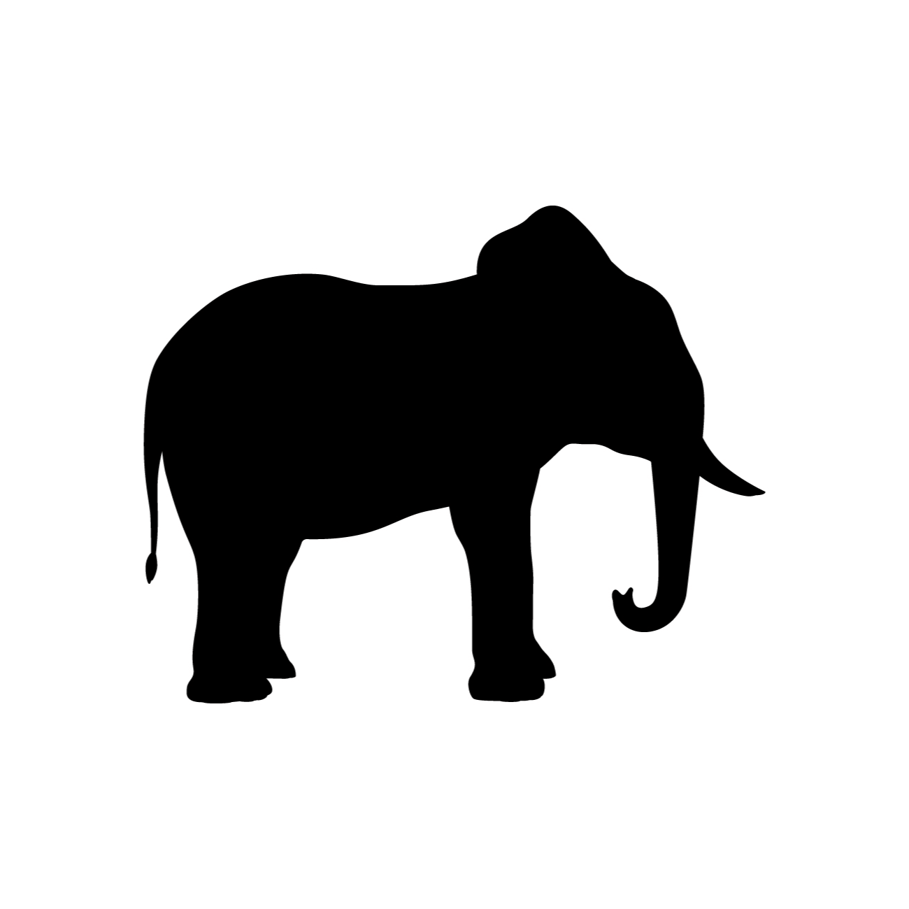 Image for SAFARI FRANK with ID of: 5843861