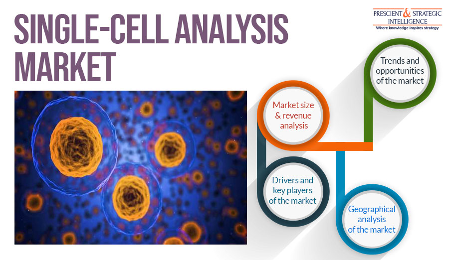 Image for Single-Cell Analysis Industry Growth, Leading Players and Forecast Report 2030 with ID of: 5860710