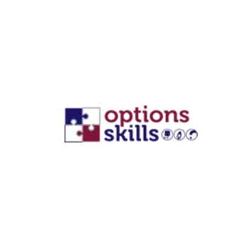 Image for Options Skills with ID of: 5863068