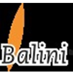 Image for Balini Productinnovatie with ID of: 5863536