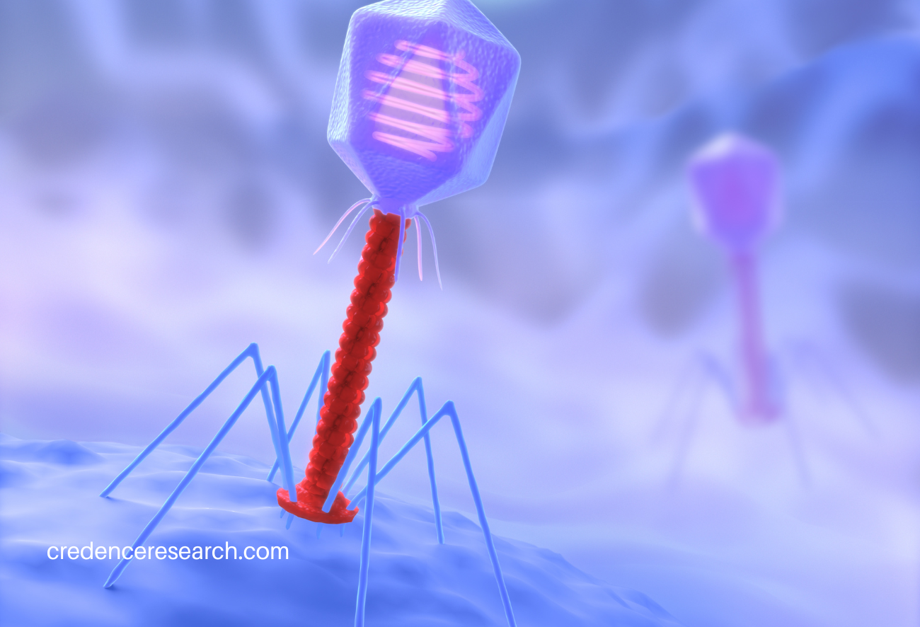 Image for Phage-Based Breakthroughs: Advancing Bacteriophage Research and Development with ID of: 5863985