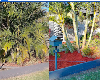 Image for Andersen's Property Maintenance with ID of: 5866486