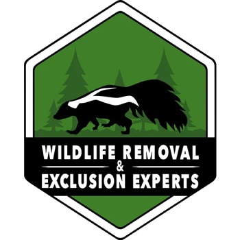Image for Wildlife Removal & Exclusion Experts, Inc. with ID of: 5866582