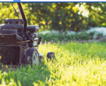 Image for Cutting Edge Gardening with ID of: 5868151