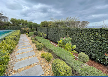Image for Geurts Lawn Mowing with ID of: 5869613