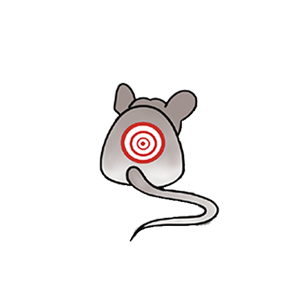 Image for Perfection Pest Control with ID of: 5881374